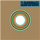 F.S. Blummbastic Feat. Hey - Riddims And Biscuits